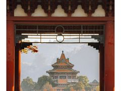 -顺峰山公园