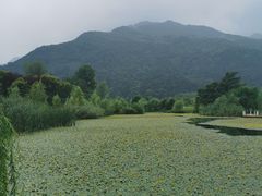 -田峪河公园
