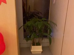 -海底捞火锅(枫蓝国际购物中心店)