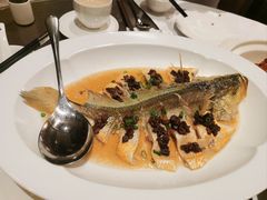 -领事馆19号中餐厅(厦门海景洲际酒店)