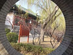 -迎泽公园