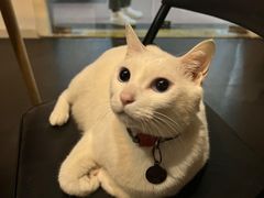 -Doors独立剧情密室(东门分店)