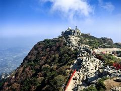 -老山东·山东菜(鲁菜名店)