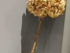 -DOU.MSTR雙·馬斯特