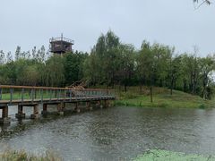 -东郊湿地公园
