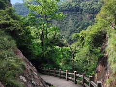 -雁荡山三折瀑景区
