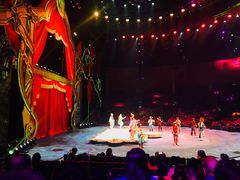 -珠海横琴长隆《卡卡虎奇遇记》