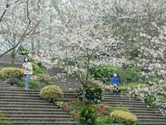 -南山植物园
