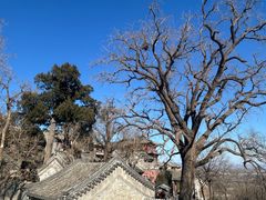 -北京凤凰岭