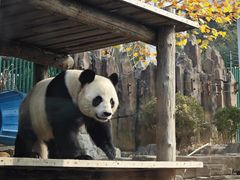 -大连森林动物园