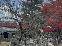 -天龙寺