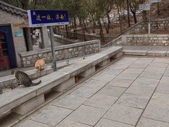 -四门塔风景区