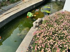 -汤宴·参须肚包鸡(南京路店)