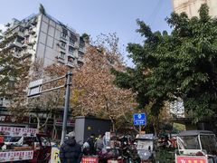 -沙河三洞古桥公园