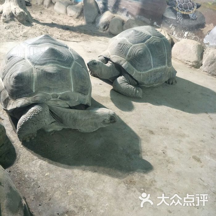 太原動物園