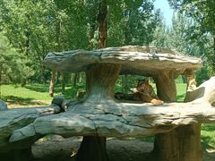 -北京野生动物园