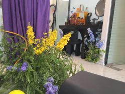 点击看大图 -MLP美丽派·问题肌疗愈中心