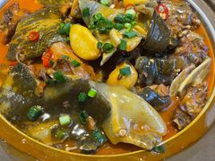 -洞庭家宴·头牌甲鱼(广渠门店)