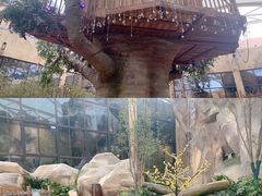 -杭州开元森泊度假乐园