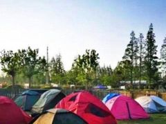 -前小桔亲子创意农场·草莓采摘·露营烧烤