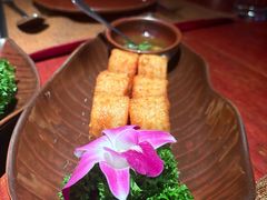 -花马天堂云南餐厅 Lost Heaven(外滩店)