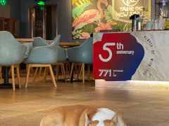 -771RESTAURANT&BAR(金湖广场店)