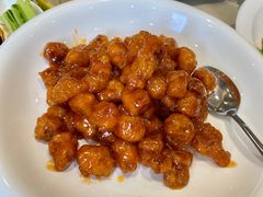 -丽苑大酒店