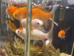 -上楼私房菜(院士路店)