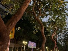 -垂虹公园