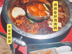 -谭鸭血老火锅(万象九宜城店)