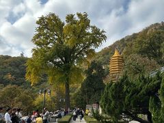 -天津盘山风景名胜区