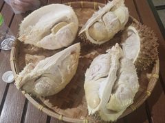 -都念榴莲·城市榴莲