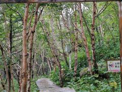 -白草畔自然风景区