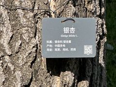 -香山公园