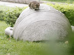 -东山湖公园