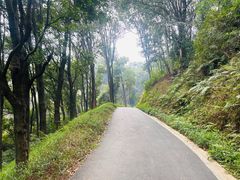 -广州市白云山风景名胜区