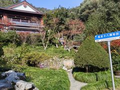 -十八棵（老龙井）御茶园(老龙井店)