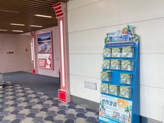 -厦门高崎国际机场-T3航站楼