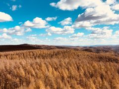 -塞罕坝国家级自然保护区