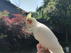 -宁波野生动物园