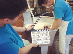 -PETKIT小佩宠物(古北店)