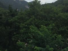 -石老人观光园