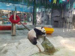 -栾川竹海野生动物园