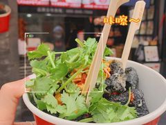 -黑色经典臭豆腐·湖南特产(坡子街店)