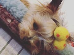 -春风十里咖啡馆