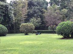 -天赐温泉