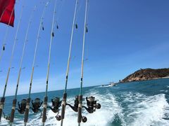 -小猫钓鱼海钓俱乐部(椰梦长廊店)