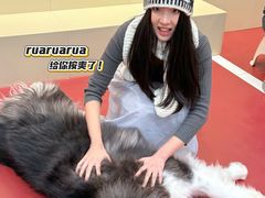 -和它·交个朋友·狗咖猫咖(爱琴海店)