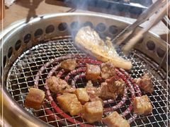 -火炉火自助餐(枫蓝国际店)