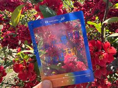 -南翠屏公园